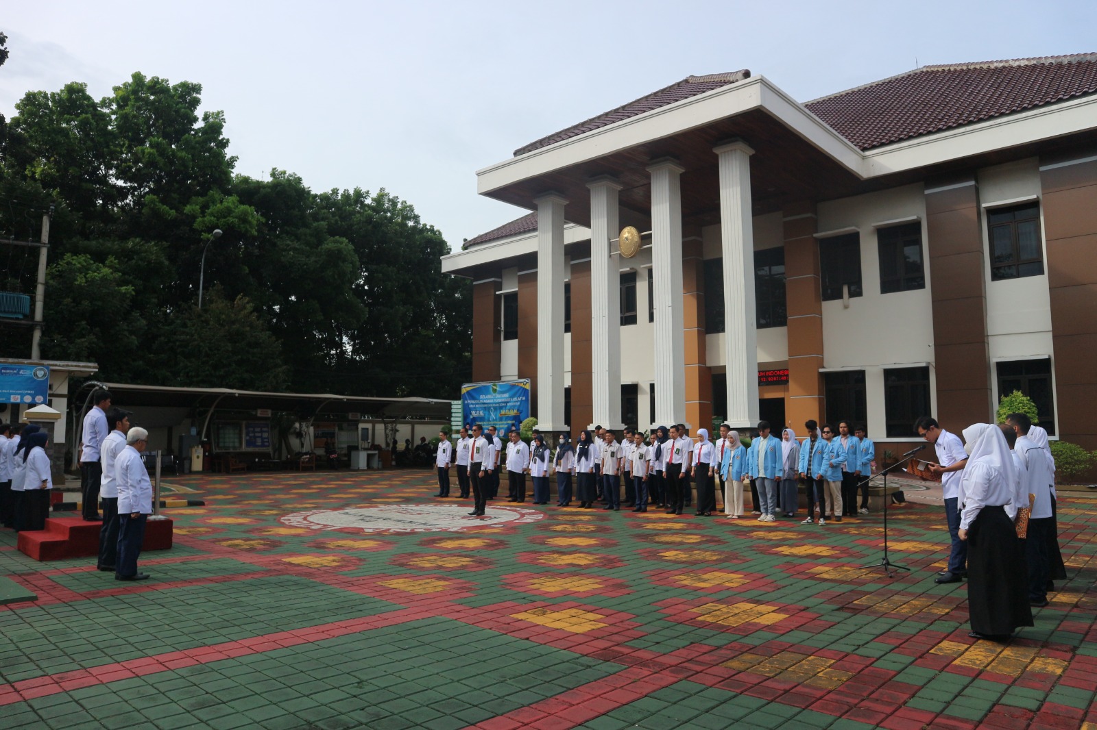 apelsenin3